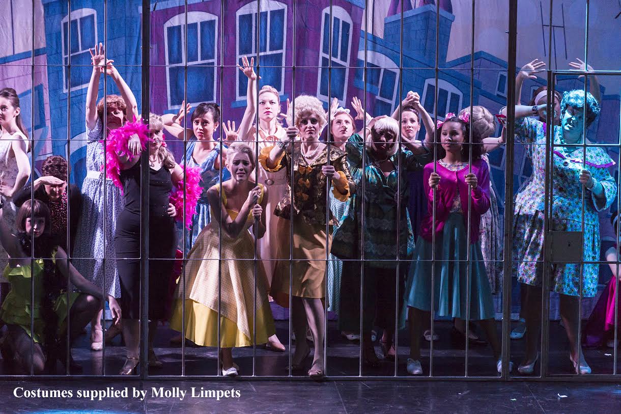 Hairspray movie costumes online